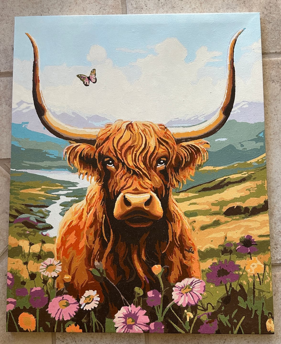 Customer photo review of Highlands Cow