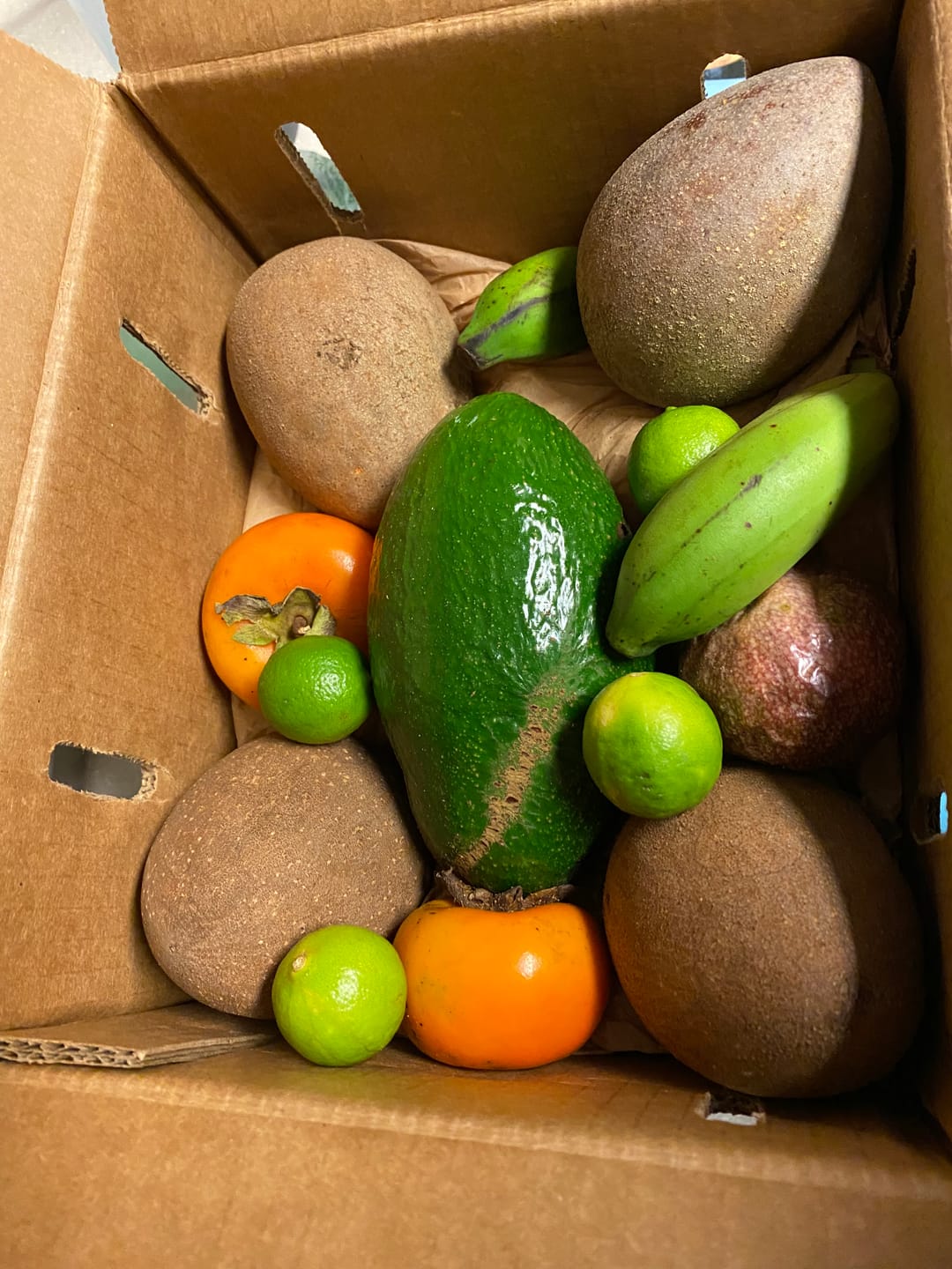 Customer photo review of Leftovers Box