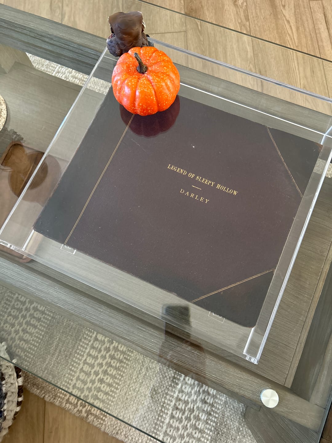 Customer photo review of Acrylic Book Display Cases