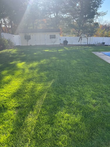 Customer photo review of GCI Turf Spreader Elite Grass Seed