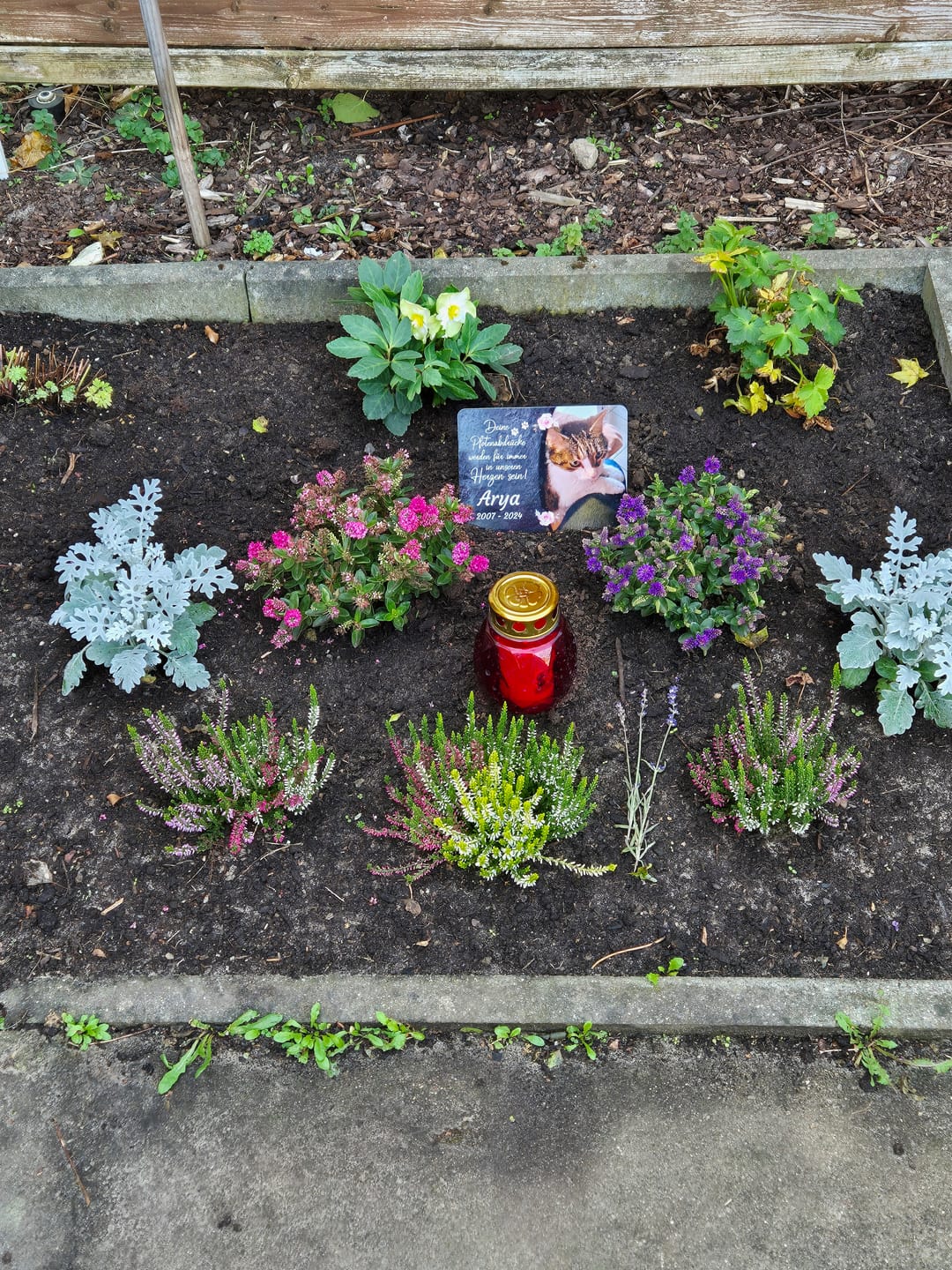 Customer photo review of Katzen Gedenktafel mit Foto & Spruch (UV- & Wetterfest)