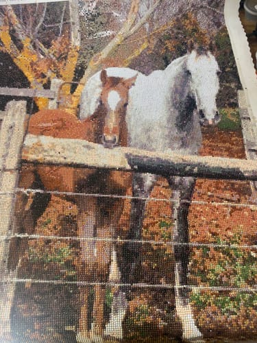Customer photo review of Custom Diamond Painting