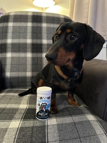 Customer photo review of Natural Joint & Hip Supplement Powder for Dogs (80g)