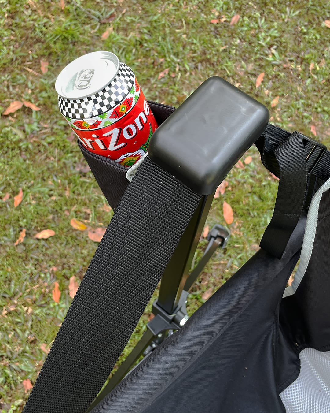 Customer photo review of SwingBack