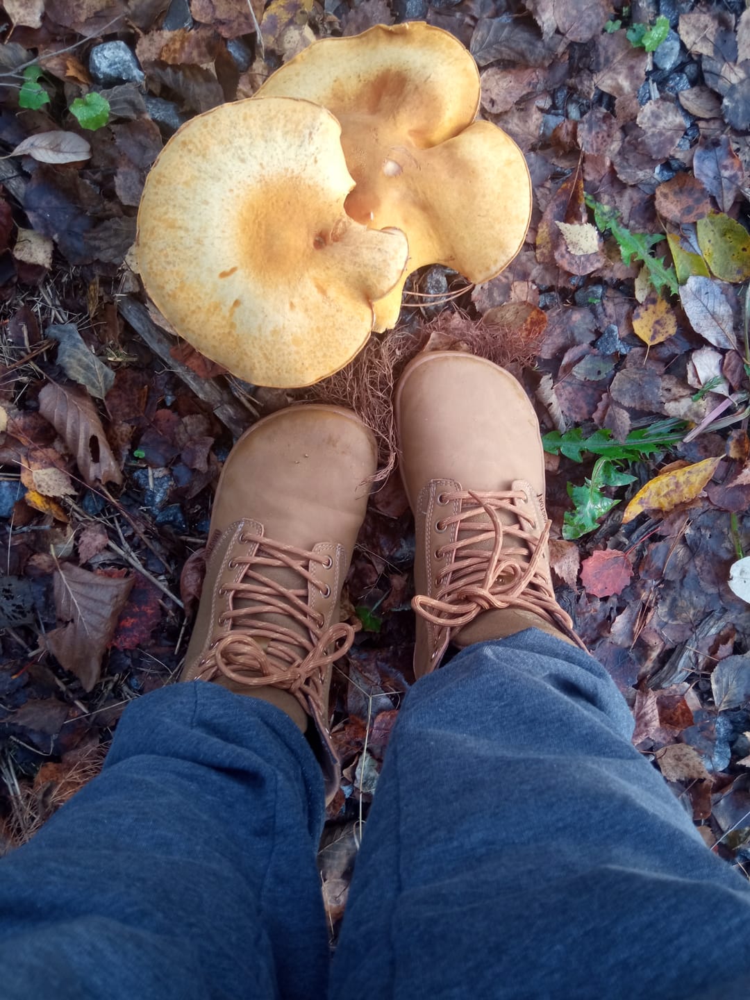 Customer photo review of Vaistoa Hurmos -paljasjalkamaiharit