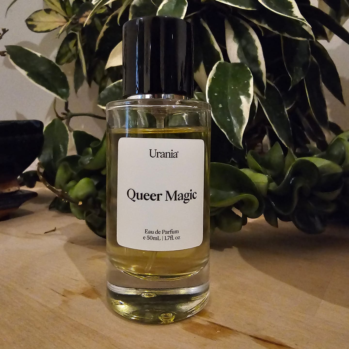 Customer photo review of Queer Magic Eau de Parfum