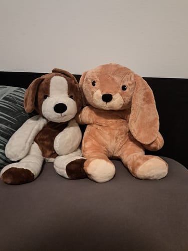 Customer photo review of Lotgenootje Hond 2kg