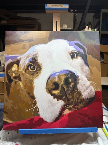 Customer photo review of Paint Your Pet by Numbers Featuring Custom Paint by Numbers Kit
