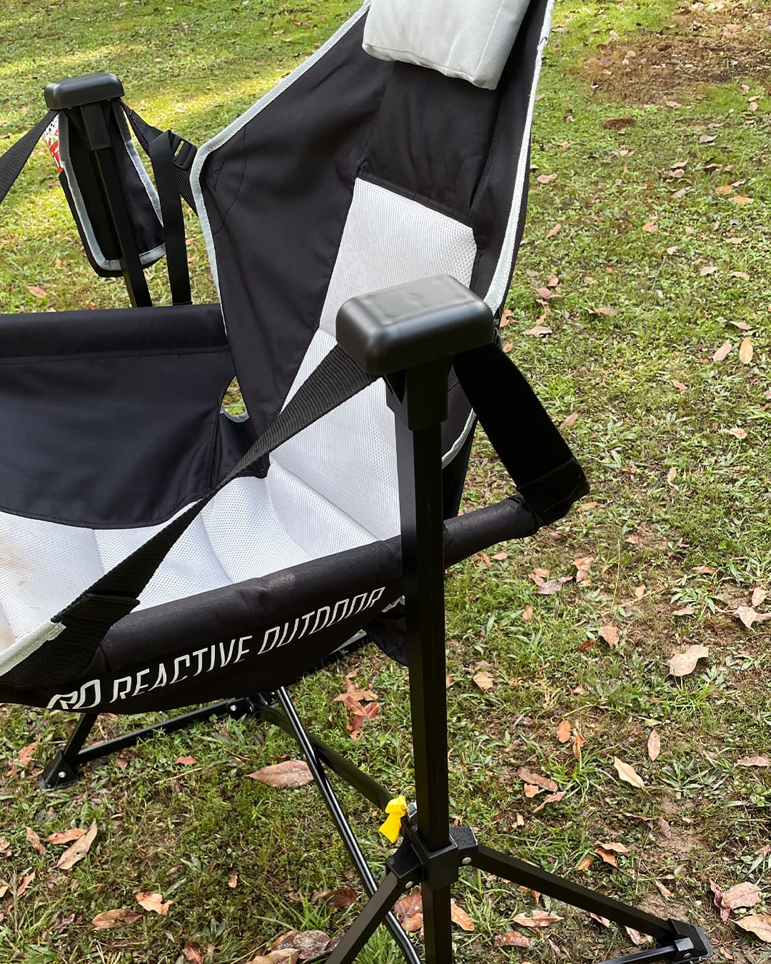 Customer photo review of SwingBack