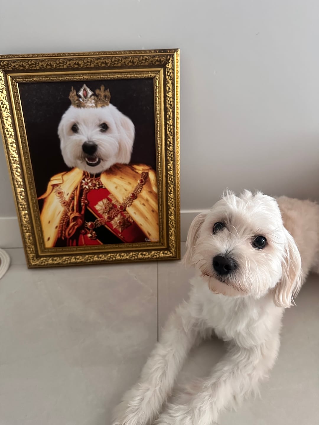 Customer photo review of The King of the Seven Kingdoms