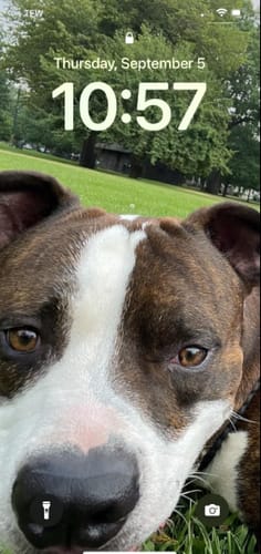 Customer photo review of FIDA Durable Slip Lead