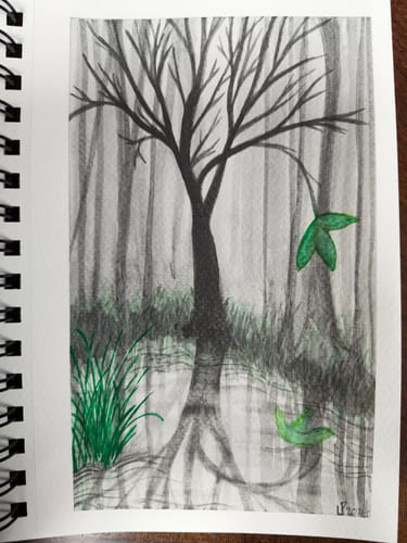 Customer photo review of Mixed Media Basic Box