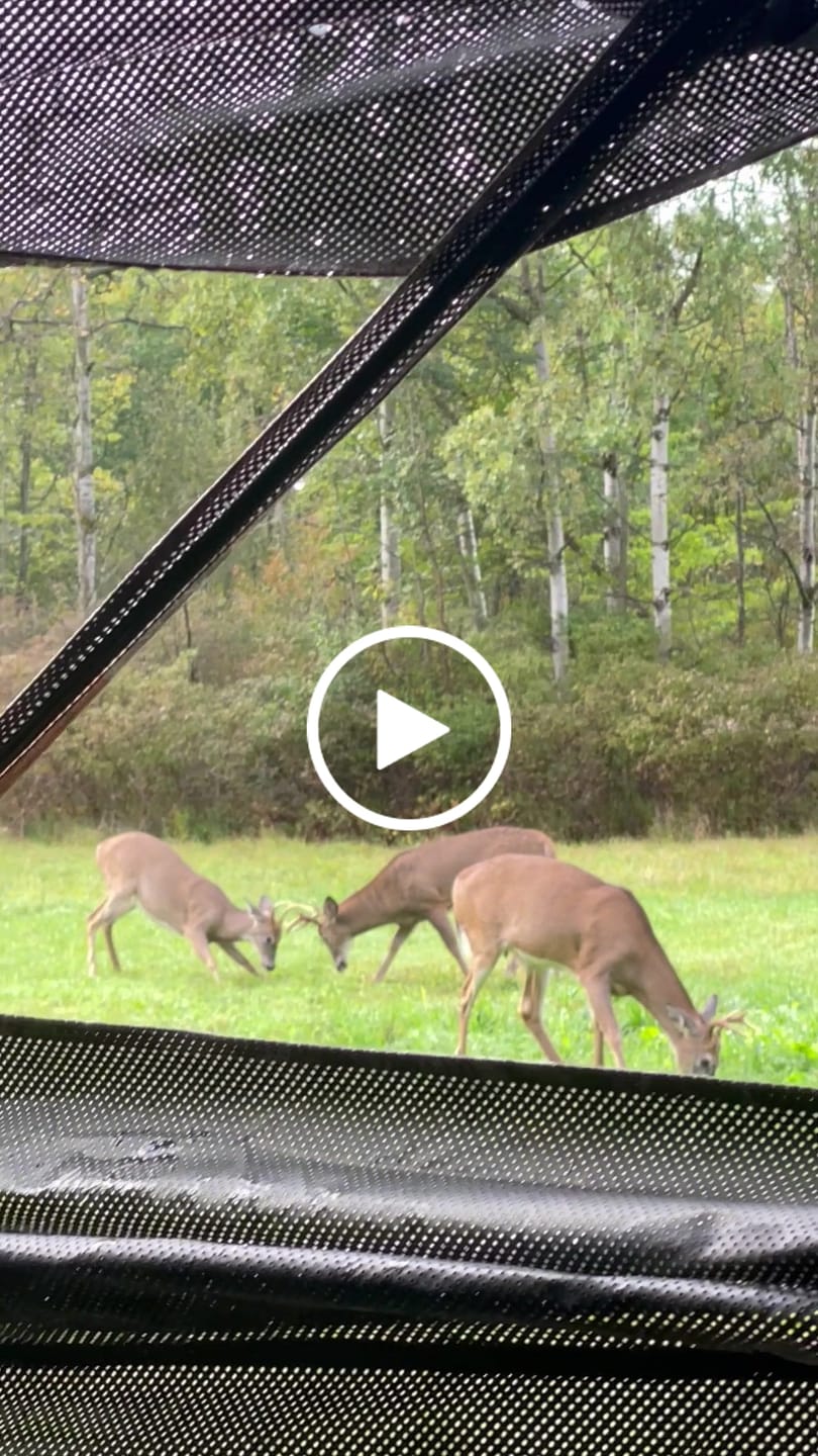 Customer video review of VisX/VisMax See Through Hunting Blind, Pop Up Ground Deer Blind