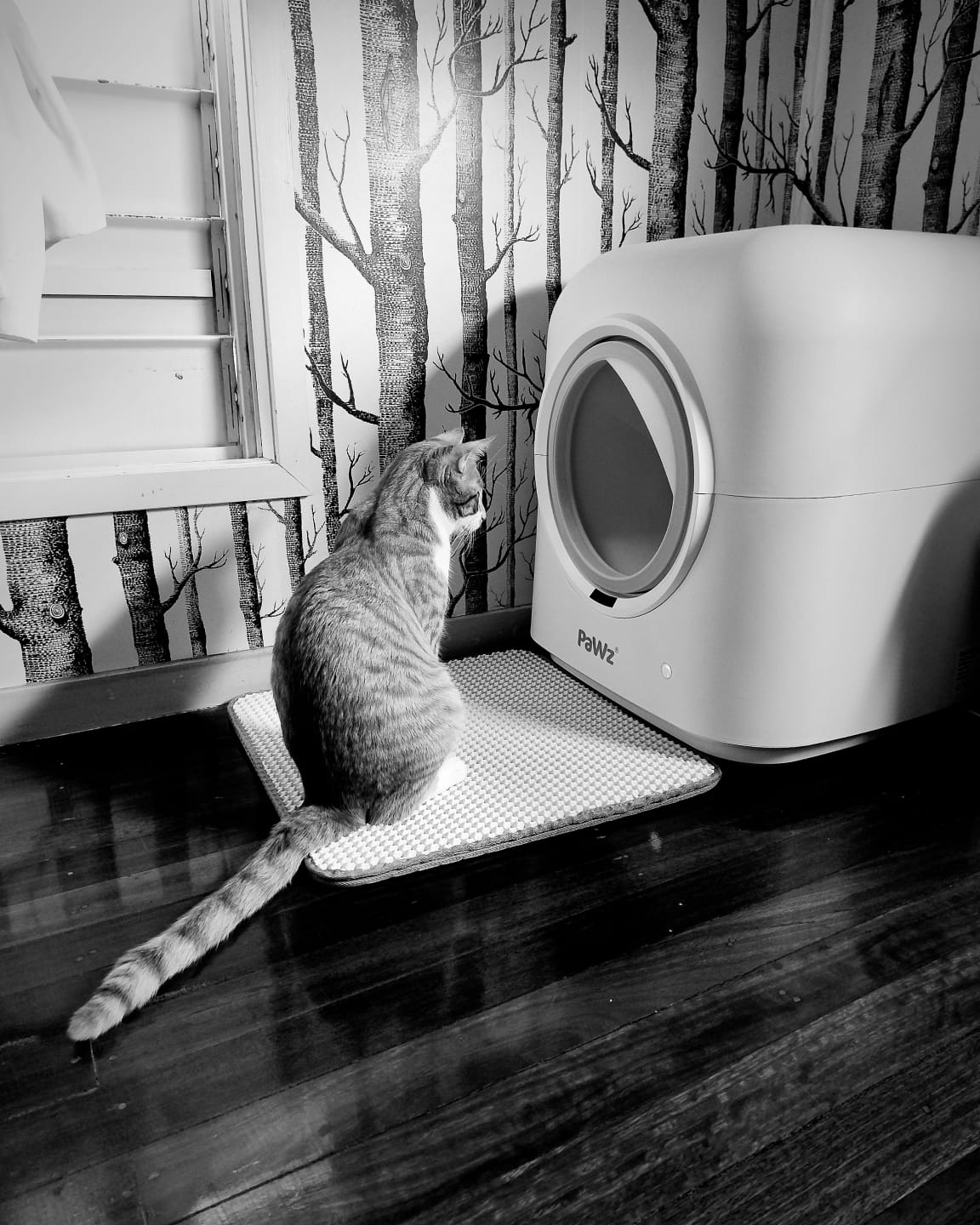 Customer photo review of Pawz Smart Cat Litter Box Automatic Self Cleaning with App Remote Control