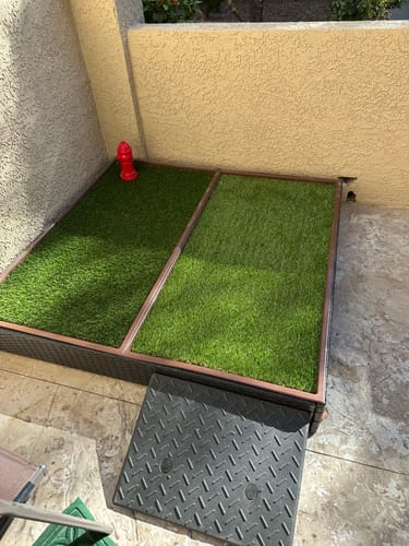 Customer photo review of Porch Potty MEGA
