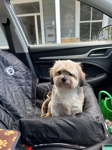 Customer photo review of Car Seat Cover