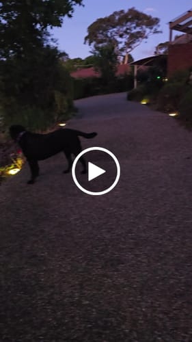 Customer video review of GardenBrite™ Solar Ground Light Pack (2024 Edition)