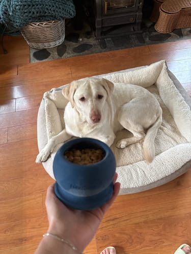 Customer photo review of Freezball - Durable Fillable Dog Chew Bone