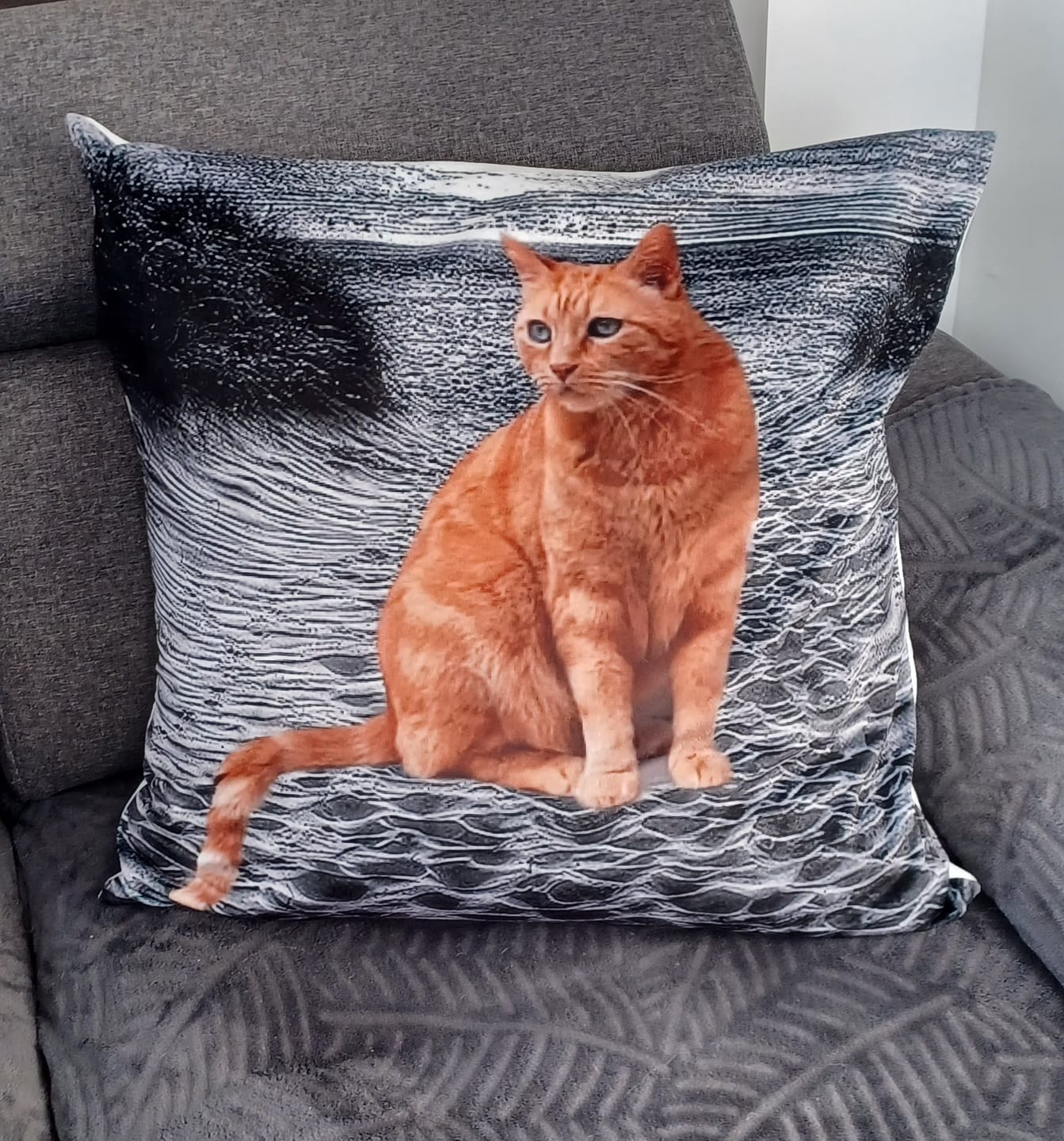 Customer photo review of Avec photo - Coussin personnalisé