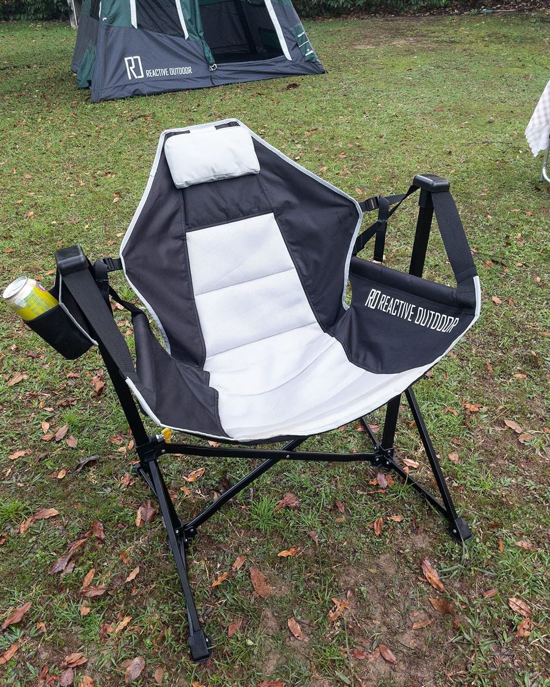 Customer photo review of SwingBack