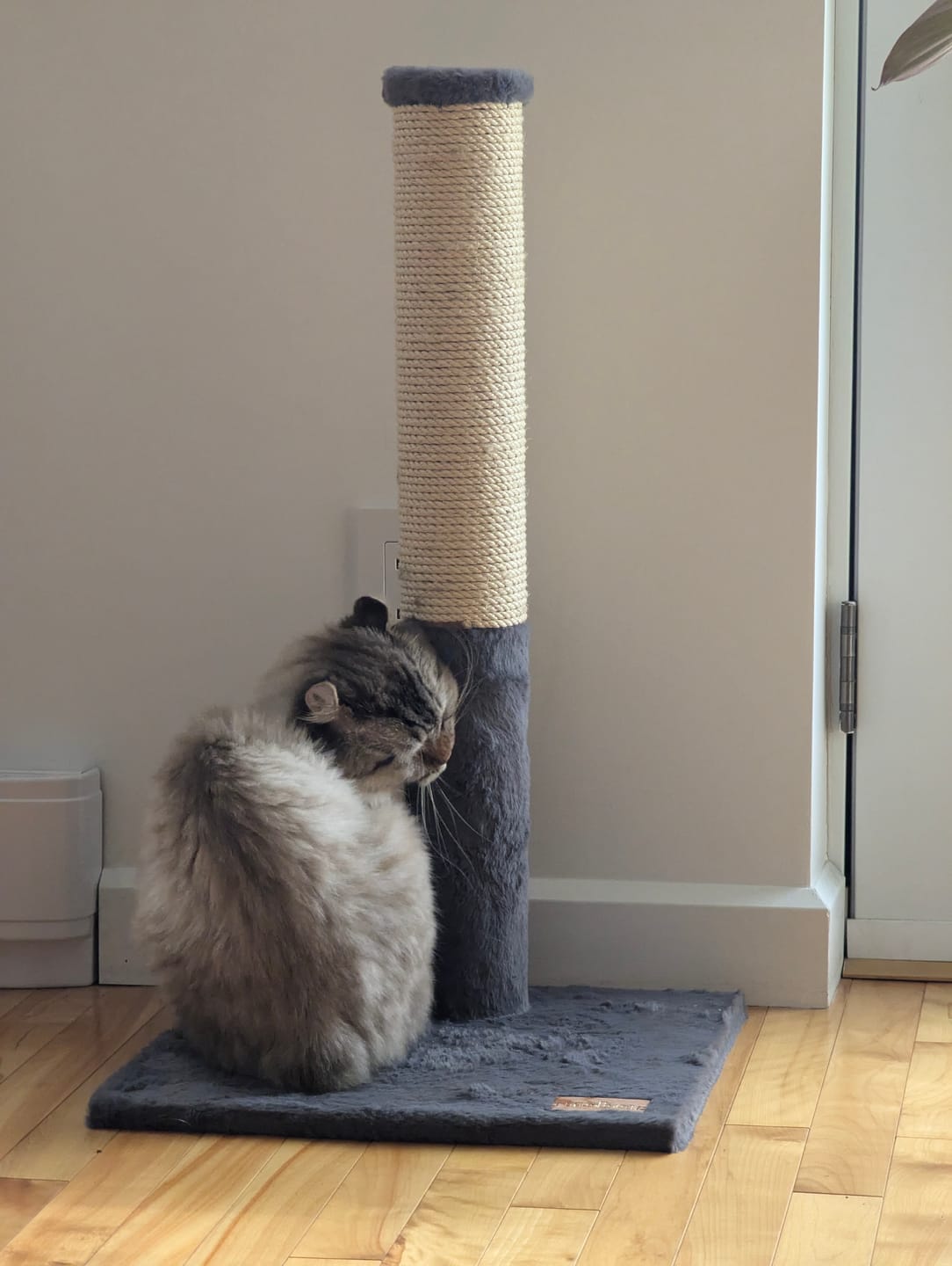 Customer photo review of Noba Classic 28" Scratching Post - Grey Faux Fur