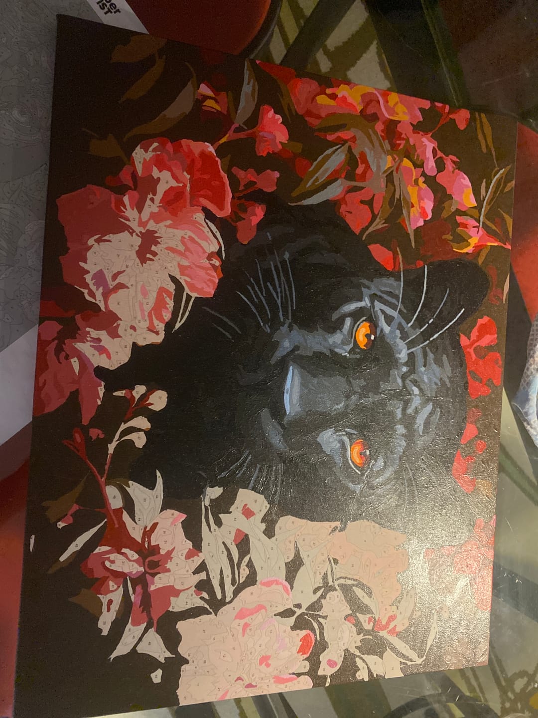 Customer photo review of Red Eyed Panther