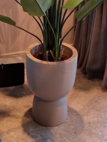 Customer photo review of Bloempot Elho Pure Coupe 35 cm Balanced Beige