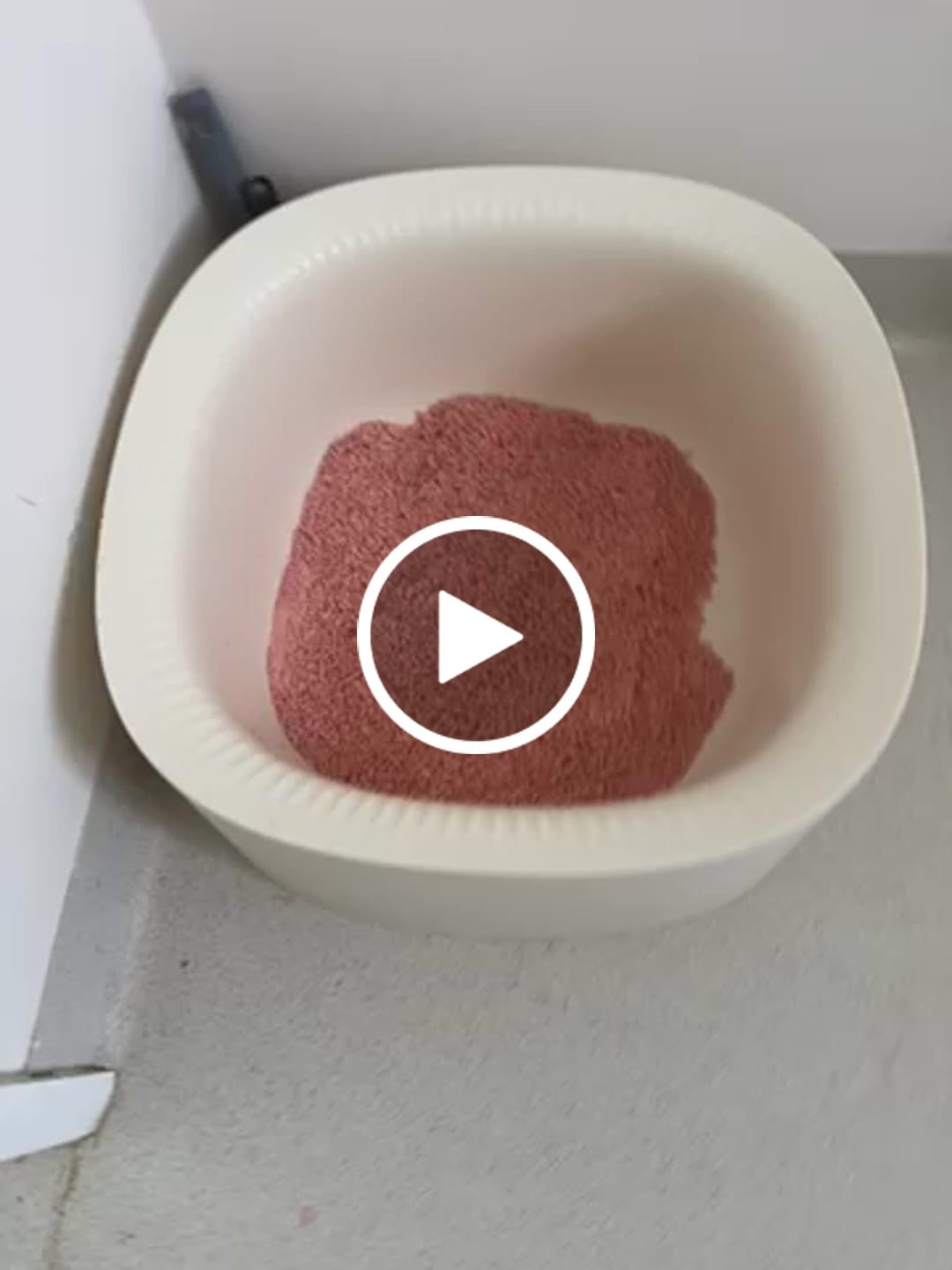 Customer video review of Michu Tofu Cat Litter Gen3 - Natural Clumping Tofu-Based Formula - Value Box 5 kg