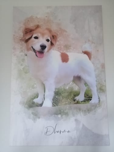 Customer photo review of Foto de tu mascota en estilo acuarela | Regalo para cachorros, perros y gatos