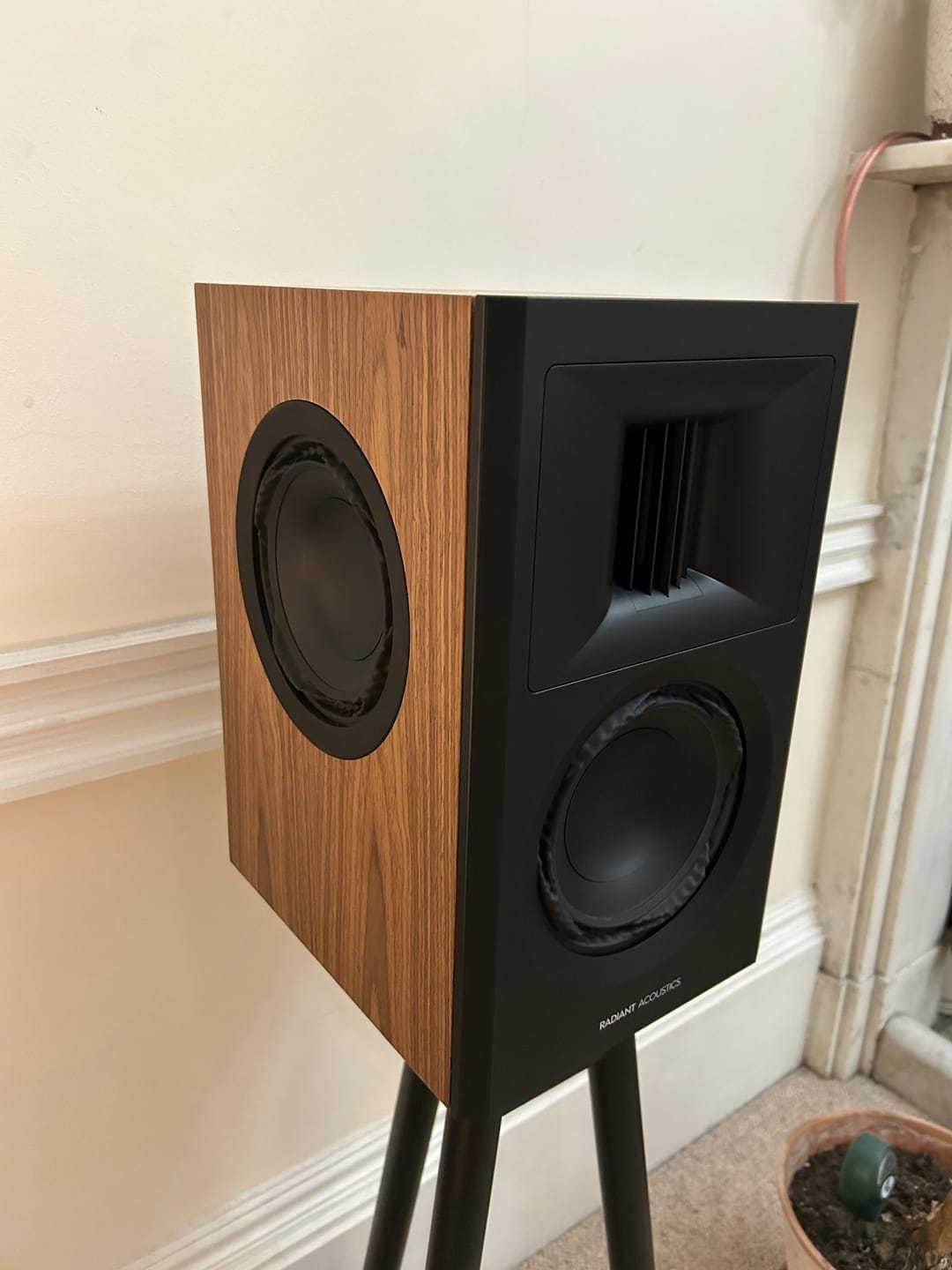 Customer photo review of Clarity 6.2