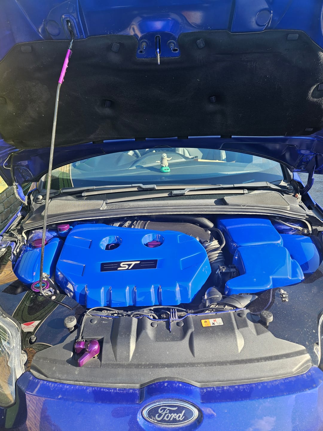 Customer photo review of Proform Brake Reservoir Cover - Mk3/3.5 Focus (Plastic Finishes)