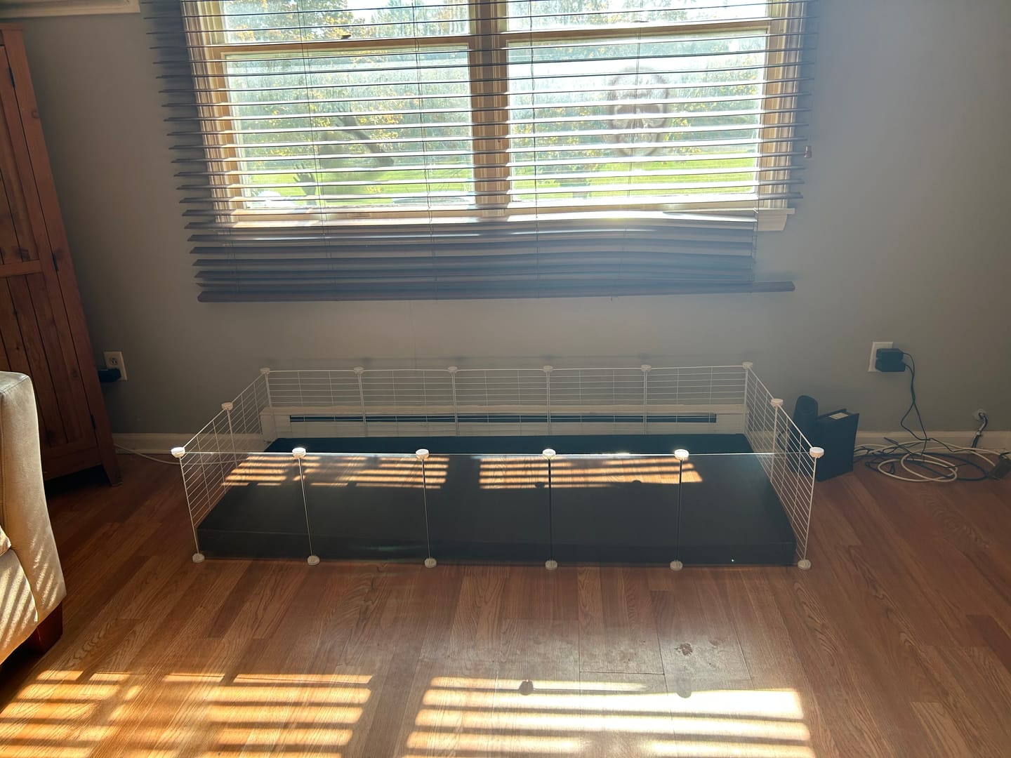 Customer photo review of 5x2 Clear C&C Cage