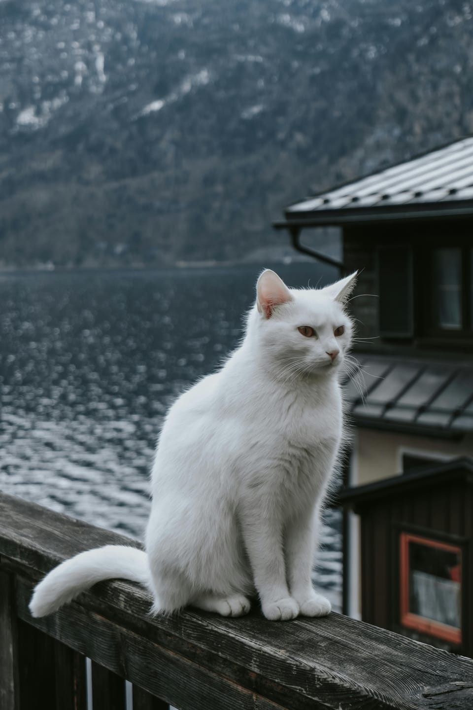 Customer photo review of BUSSIN WINTER LIGHTROOM PRESETS