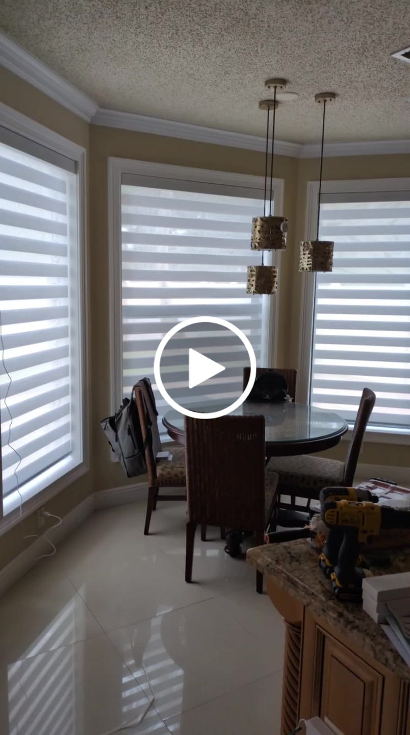 Customer video review of SmartWings Motorized Zebra Shades 60% Blackout Translucent 75mm Eloise
