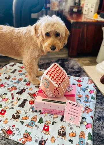 Customer photo review of Pawsome Plushie - Gingerbread House