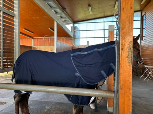 Customer photo review of LE Fieldsafe Universal Cotton Sheet