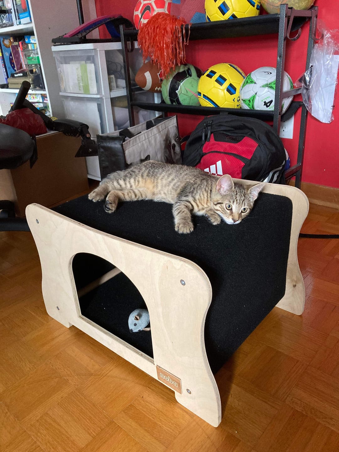 Customer photo review of The Hammock Hideout Pet House