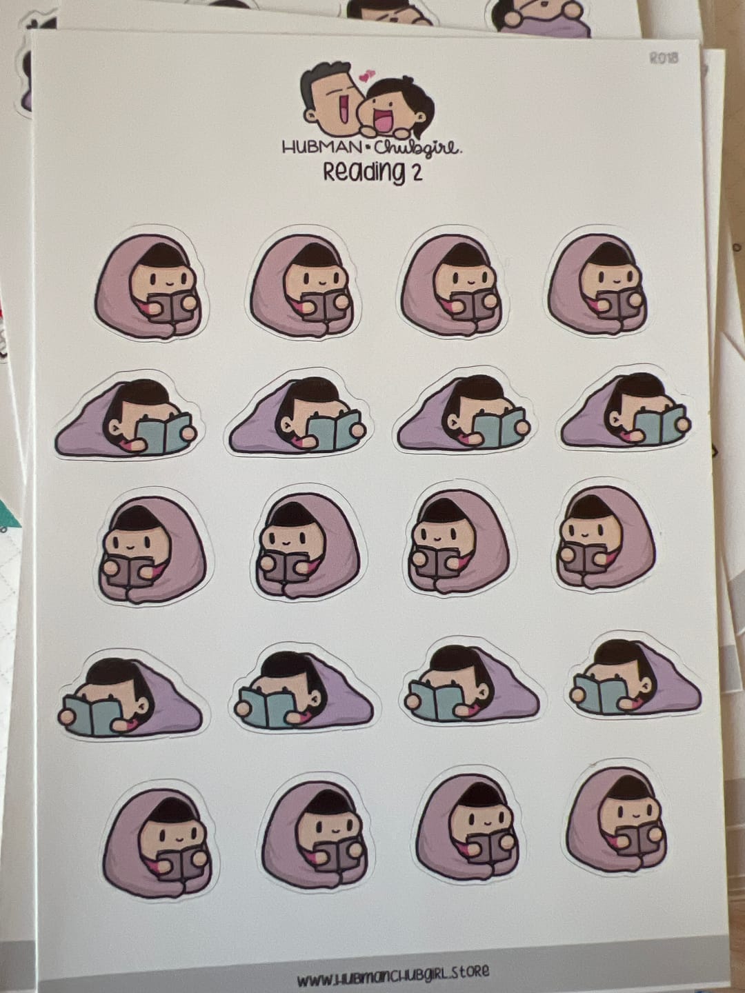Customer photo review of Reading 2 Planner Stickers