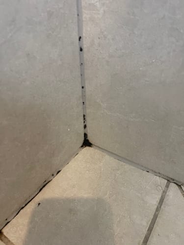 Customer photo review of GLASSGUARD® Miracle Mould Removal Gel