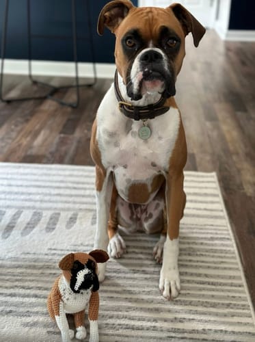 Customer photo review of Dolly® - Custom Pet Crochet