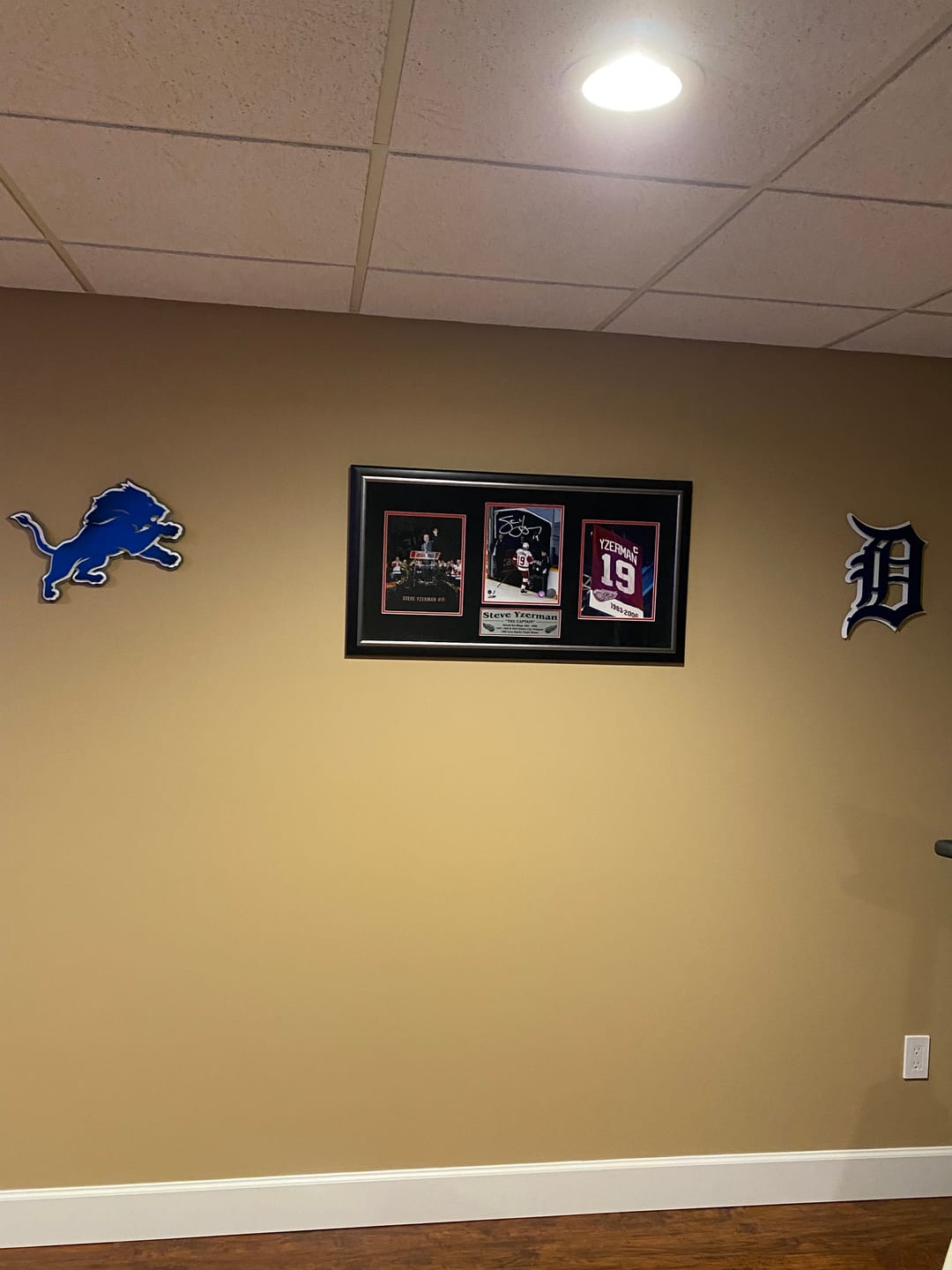 Customer photo review of Detroit Tigers "D" - Navy/White 3D Vintage Metal Wall Art