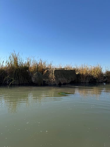Customer photo review of Hunting Blind Raffia Grass (Pack)