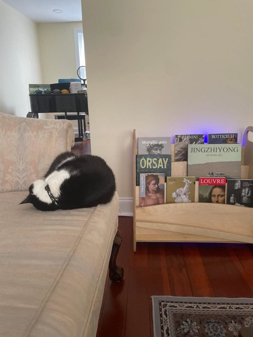 Customer photo review of Montessori Wooden Book Shelf Display