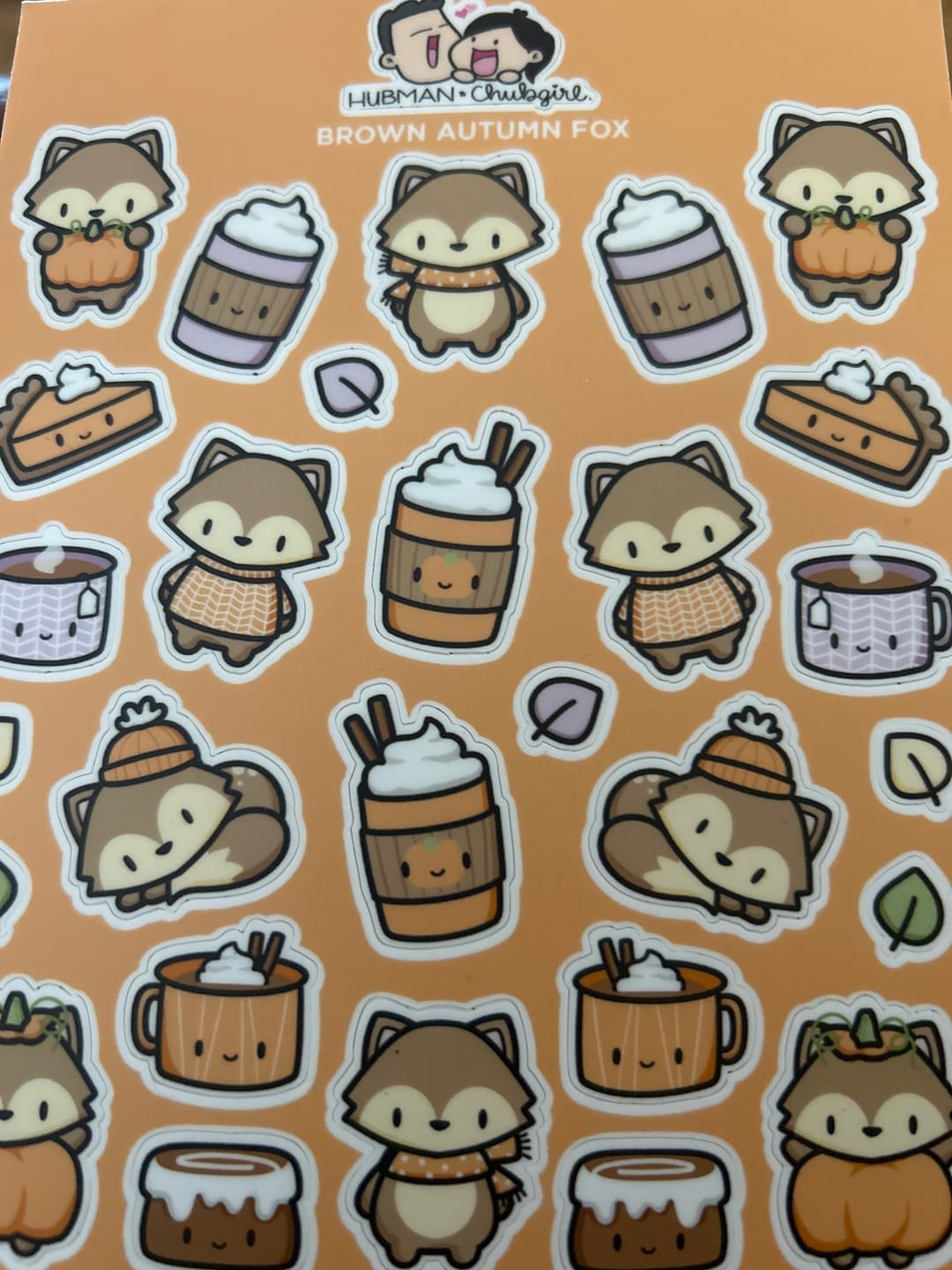 Customer photo review of Autumn Foxes Sticker Set