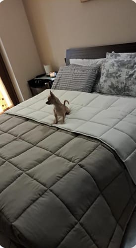 Customer photo review of Piumone Trapunta Matrimoniale, Singola, Piazza e Mezza, Fango Tortora