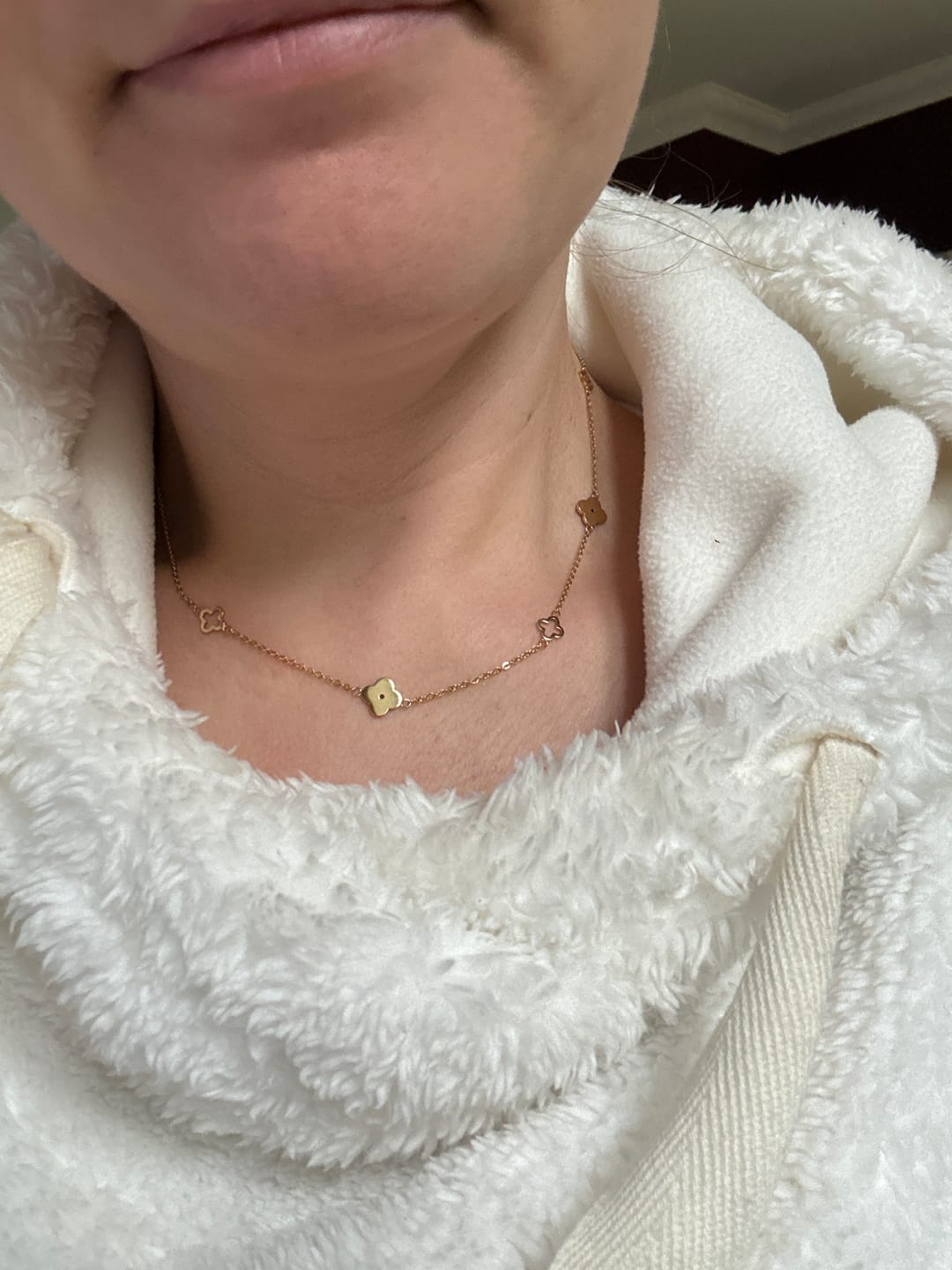 Customer photo review of Multi Clover Necklace