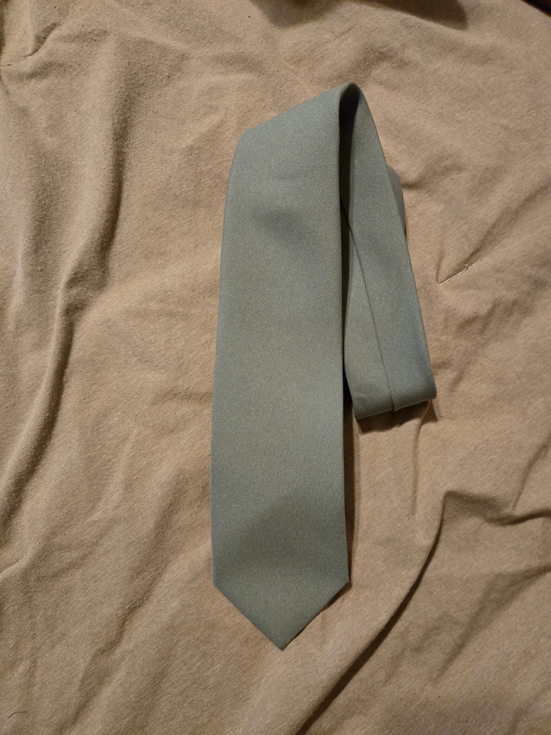 Customer photo review of Dusty Sage Necktie
