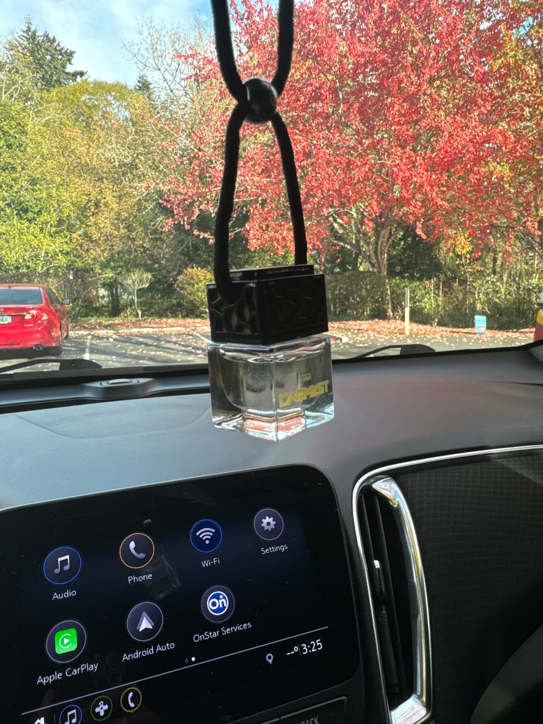 Customer photo review of Savage Cologne - Premium Car Diffusers