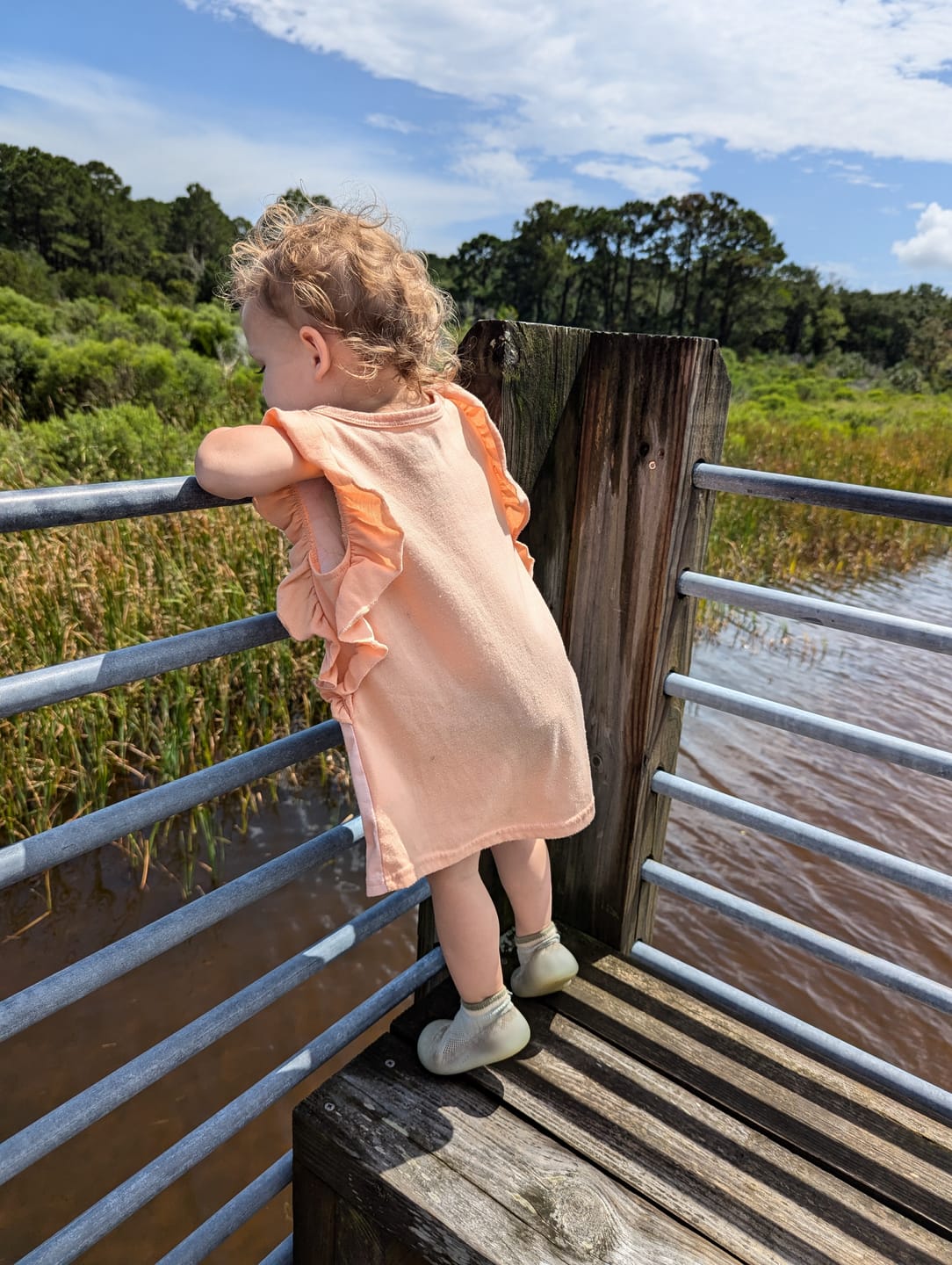 Customer photo review of Tiny Explorings [Summer Edition]