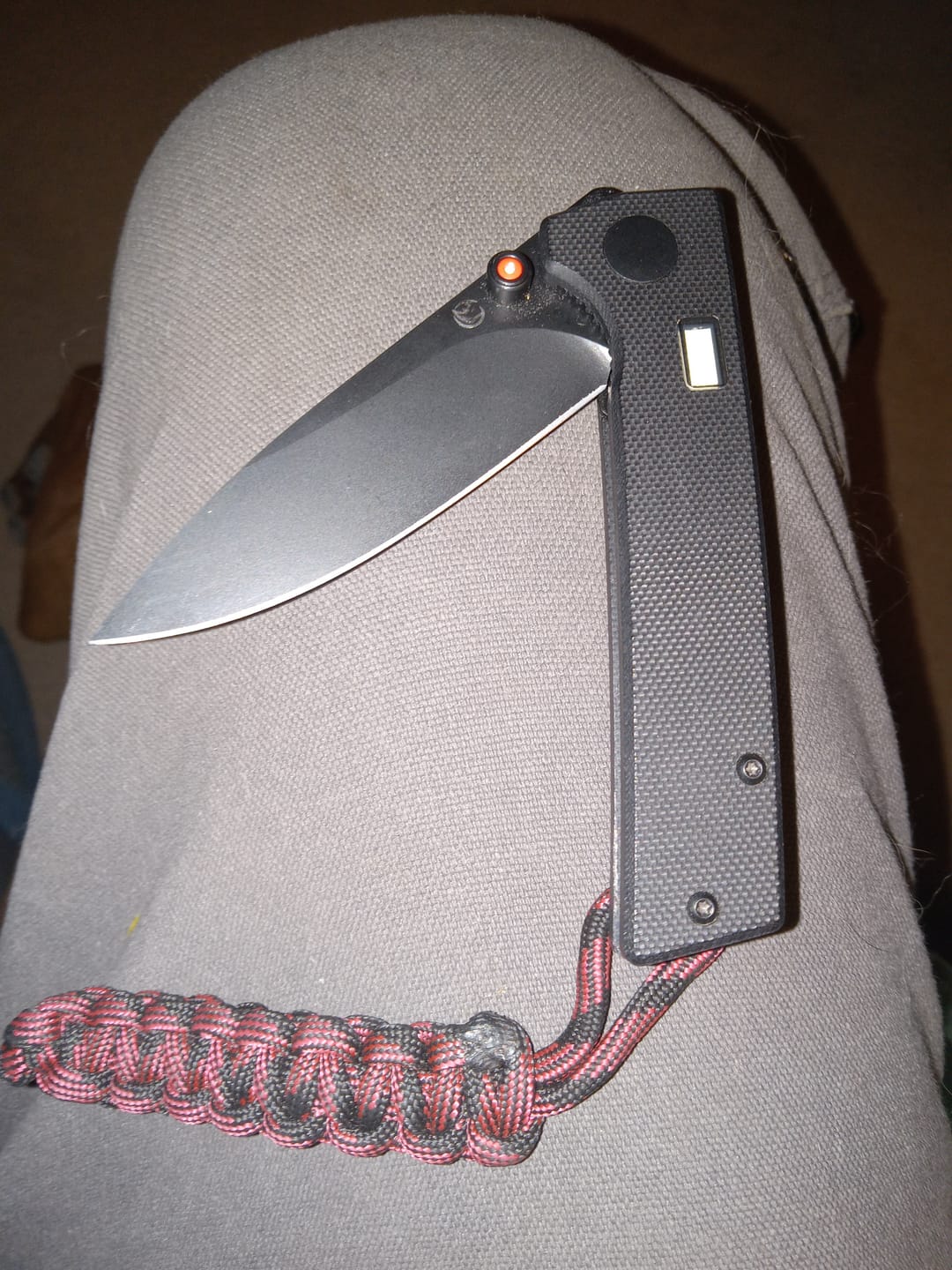 Customer photo review of The Fermi